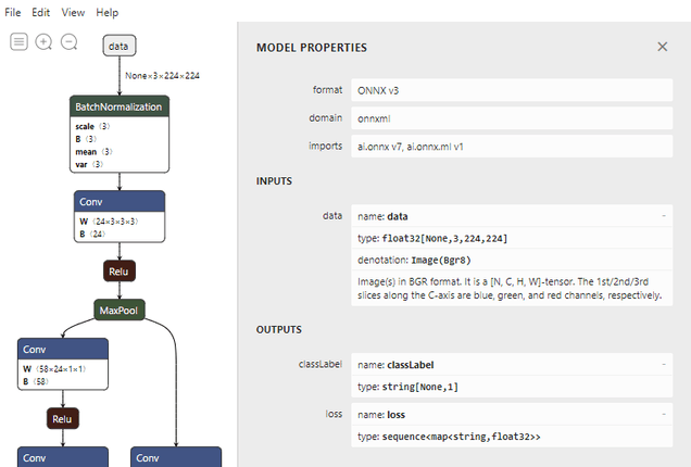 Screenshot of Netron showing the input and output properties.